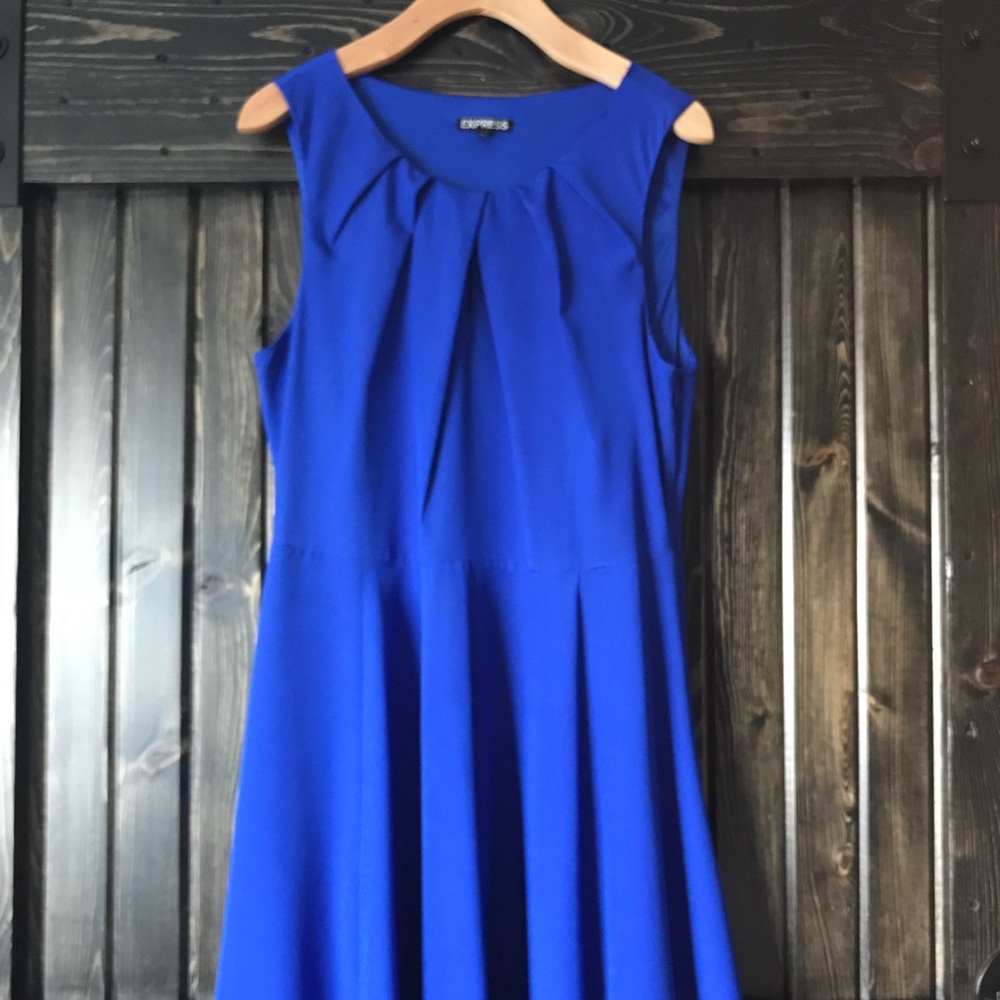 Express Skater Dress